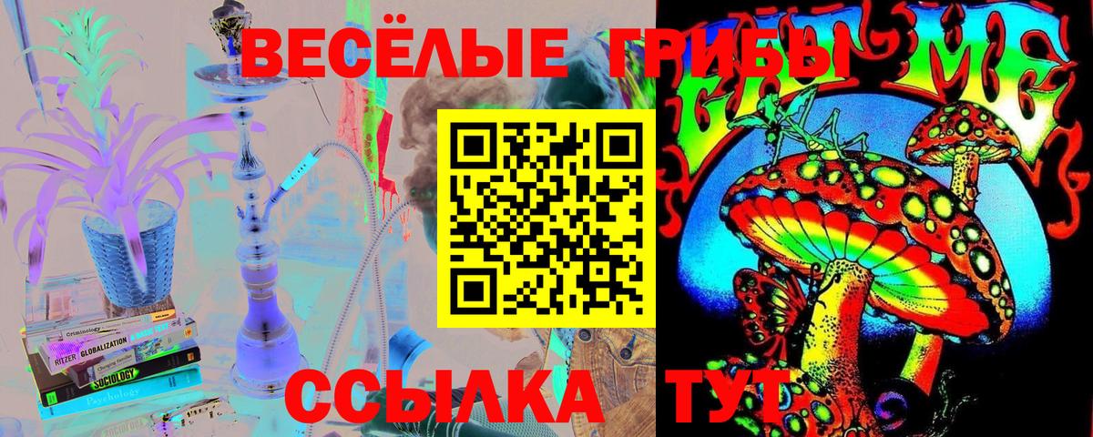 Галлюциногенные грибы мицелий Комсомольск-на-Амуре