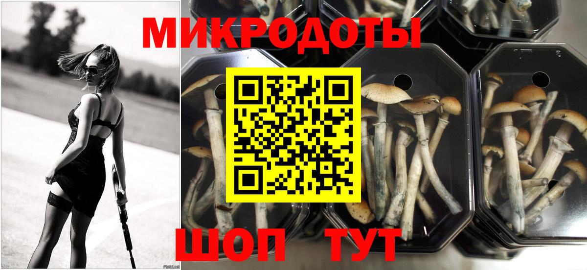 купить   Вход с VPN  Комсомольск-на-Амуре  Псилоцибиновые грибы Cubensis 